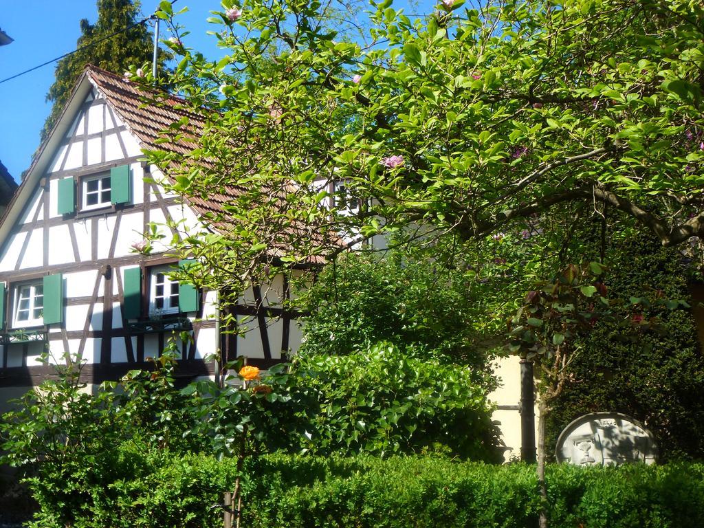 Baumanns Landhaus Durbach Extérieur photo