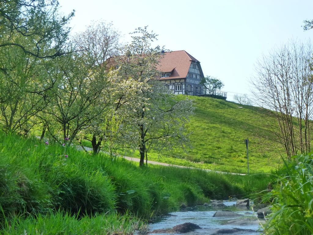 Baumanns Landhaus Durbach Extérieur photo